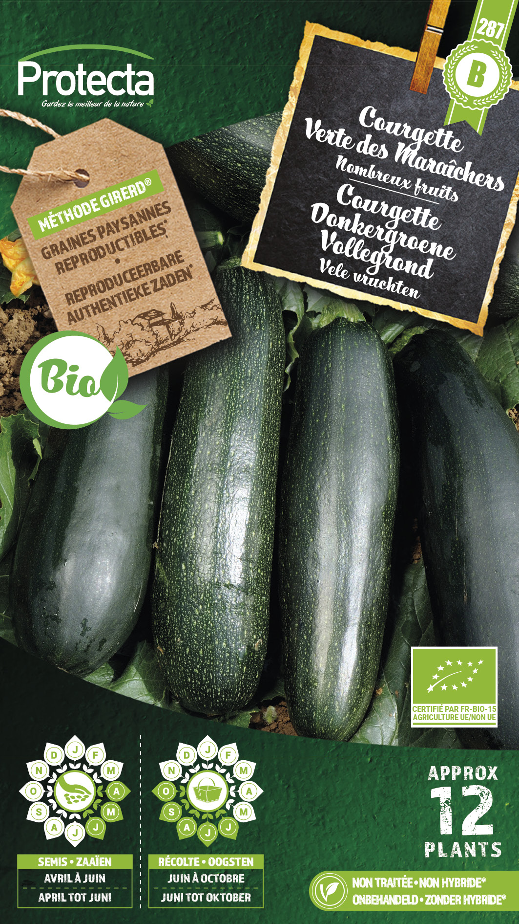 Protecta_Semences-Courgette verte Bio