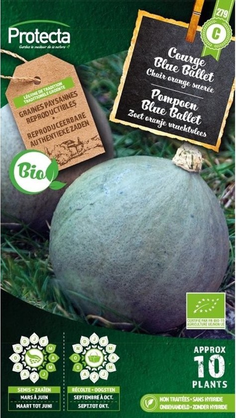 Protecta Courge Blue Ballet Bio