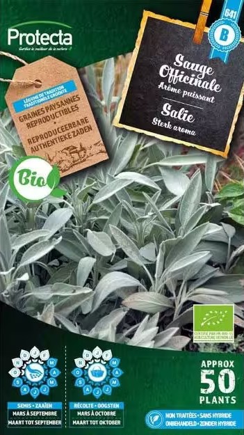 SAUGE OFFICINALE BIO