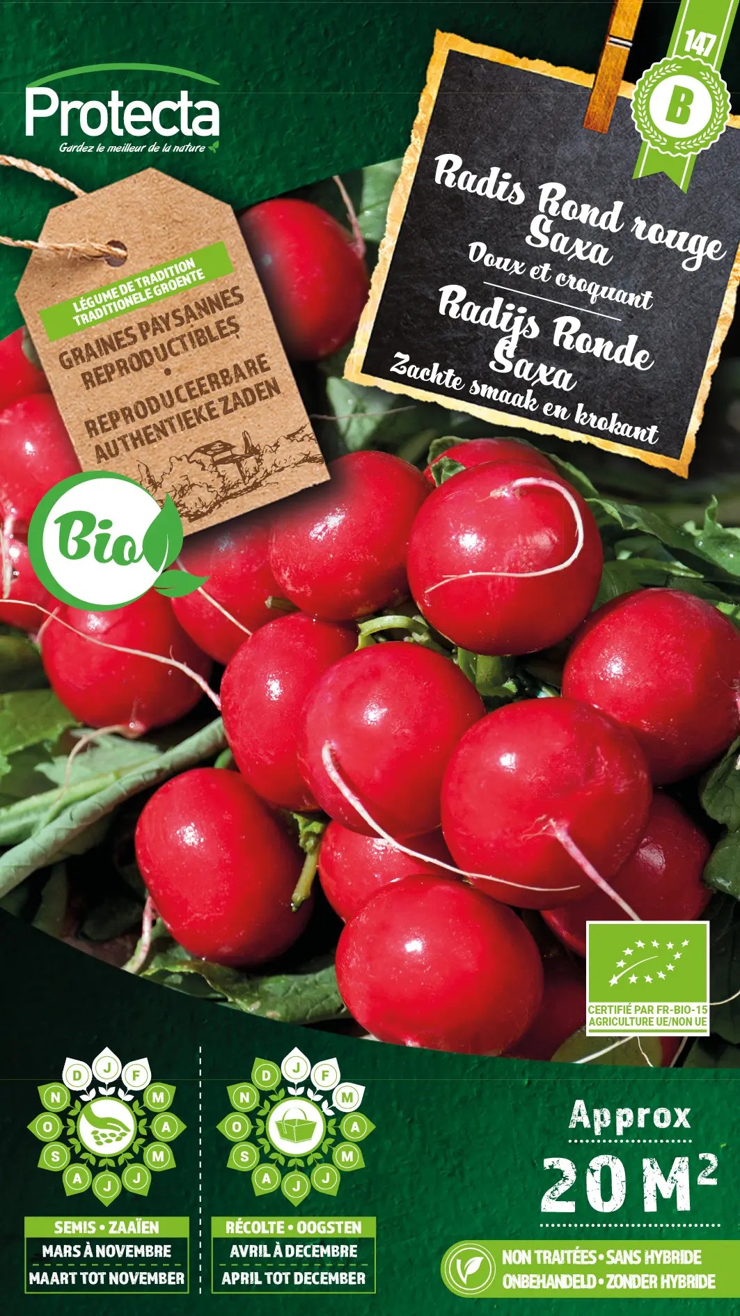Protecta Radis rond rouge Saxa bio