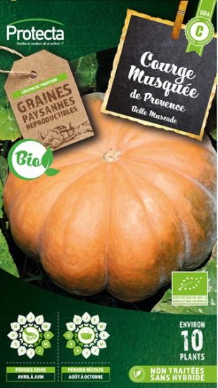 courge musquee de provence bio 4g de graines