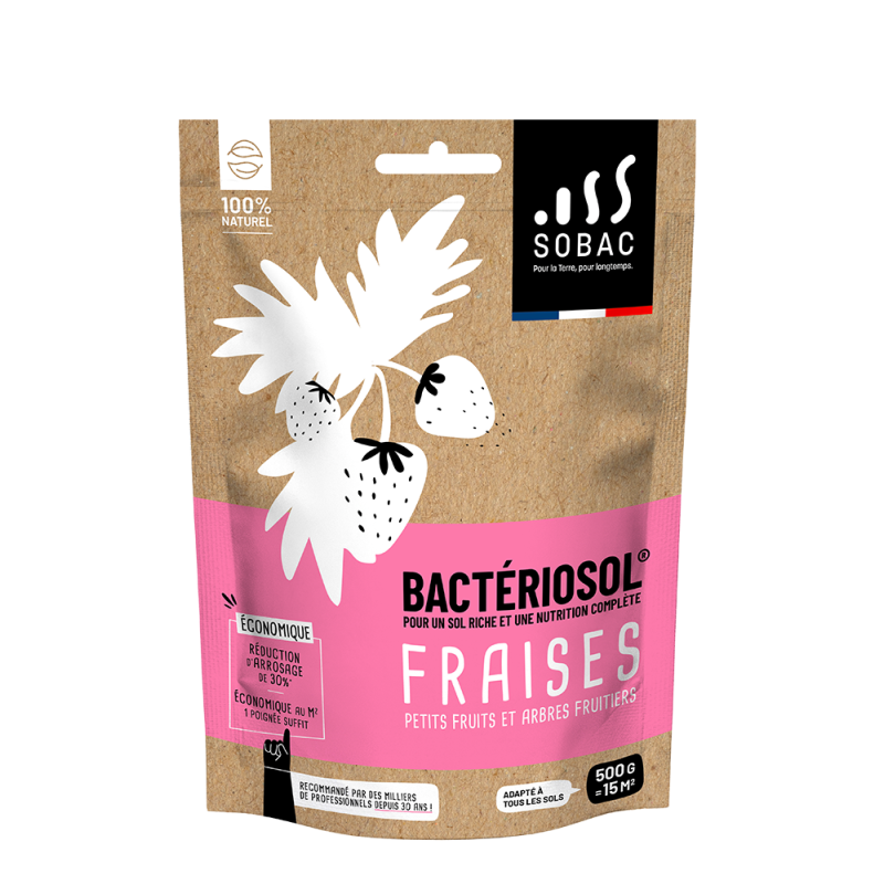 bacteriosol fraises 500g