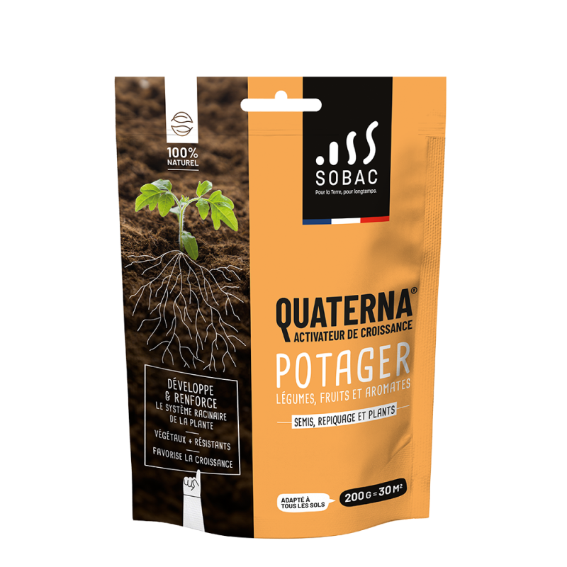 quaterna activateur de croissance potager 200g