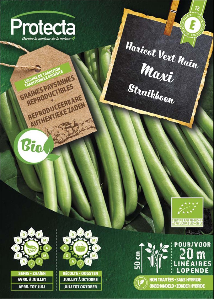 Protecta_Haricot Vert nain maxi Bio