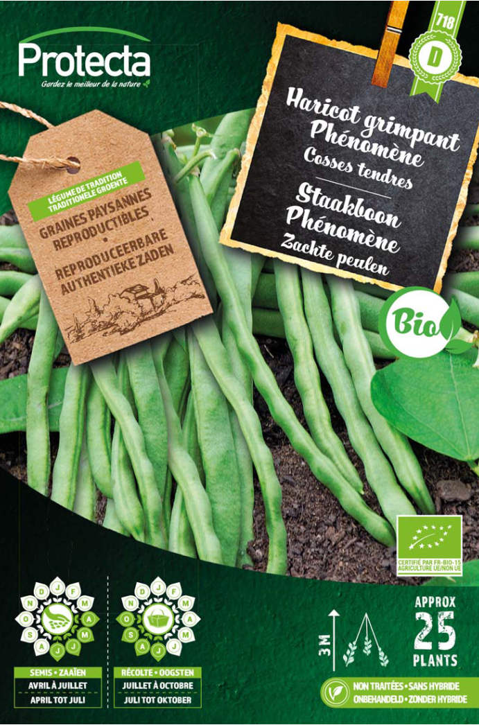 Protecta_Haricot Grimpant Phénomène Bio