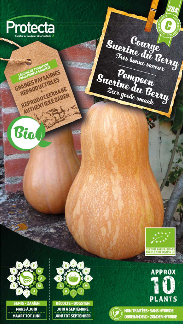 Protecta Courge Sucrine de Berry