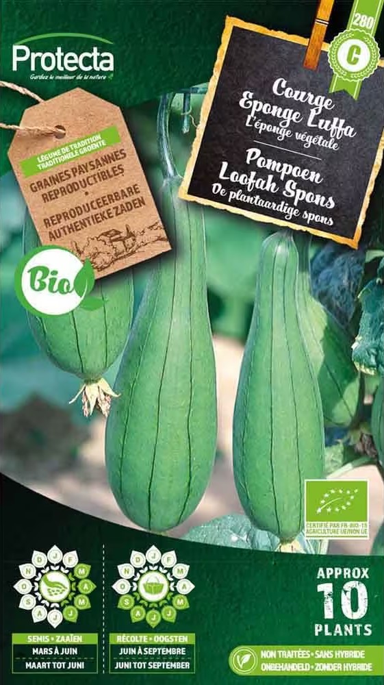 Protecta Courge Eponge Bio