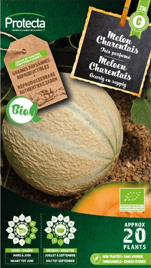 MELON CHARENTAIS BIO