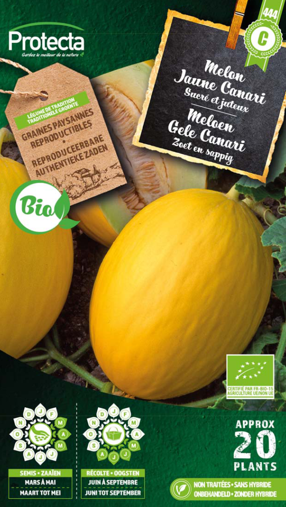 Melon Jaune Canari Bio