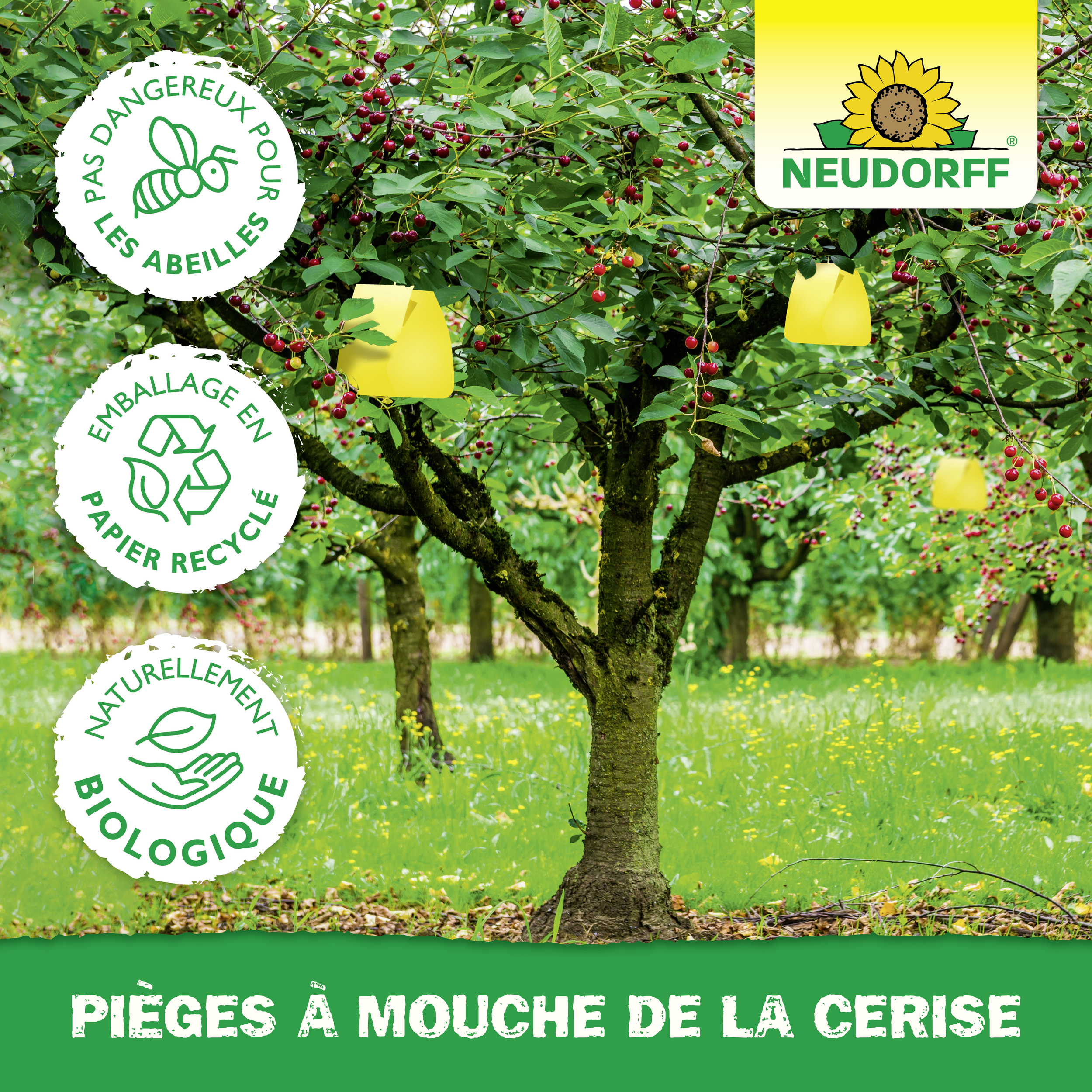 4005240170434_Pieges_a_Mouche_de_la_cerise_F_Bild_5