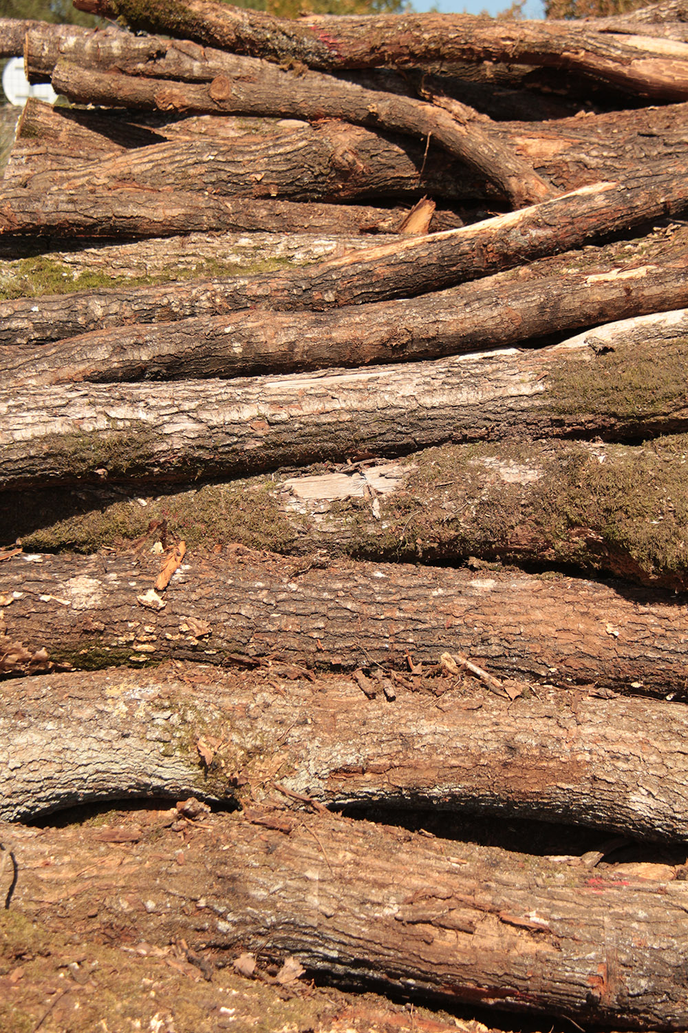 bois de chauffage livraison