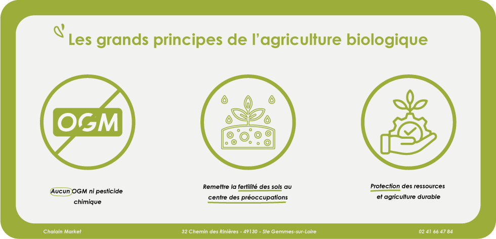 les-grands-principes-de-l-agriculture-biologique