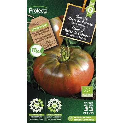 Protecta_Semences-Tomate Noire de Crimée Bio
