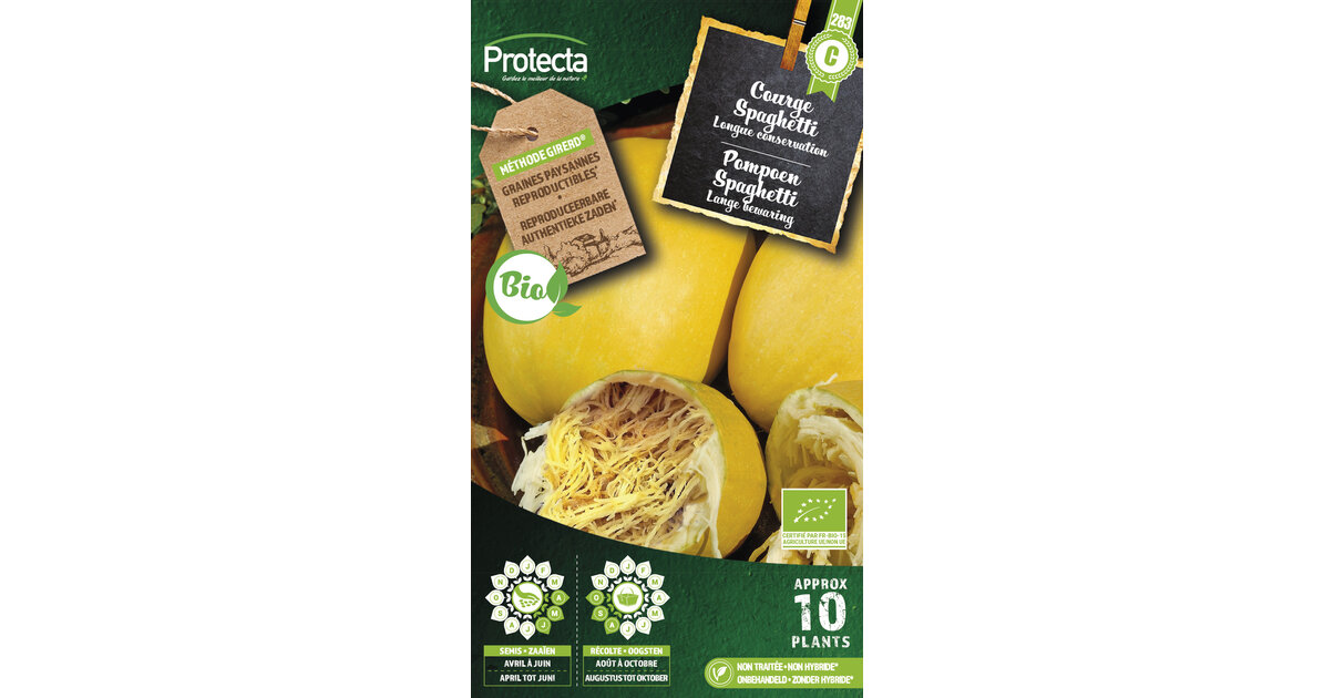 Courge Spaghetti Bio – Semences Reproductibles