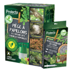 piège papillons