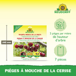 4005240170434_Pieges_a_Mouche_de_la_cerise_F_Bild_3