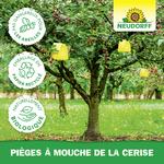4005240170434_Pieges_a_Mouche_de_la_cerise_F_Bild_5