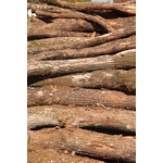 bois de chauffage tas