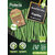 Graines Haricot vert nain
