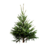 sapin de noël