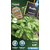 Protecta_Semences-Basilic Grand Vert Bio