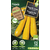 Protecta_Semences-Courgette jaune Bio