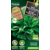 Protecta Epinard Monstrueux de Viroflay Bio