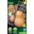 Protecta Courge Sucrine de Berry