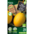 Protecta melon Jaune Canari