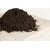 compost végétal écologique
