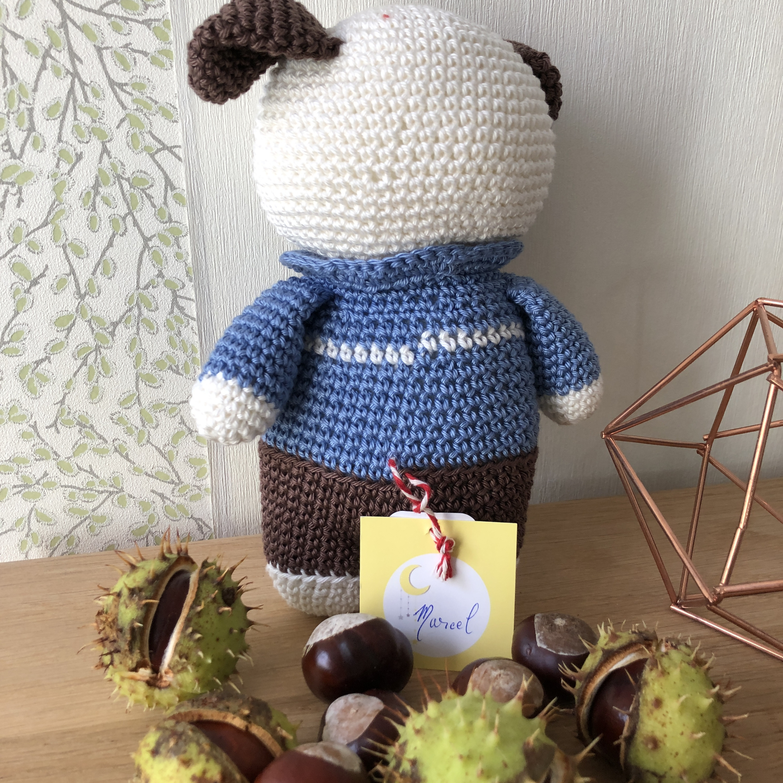 doudou chiot 4