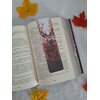 9ce0d6ab-848f-4b02-a162-3d2a6e8b833c