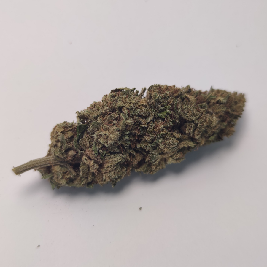 grossiste-northenlight-grossiste-fleur-cbd