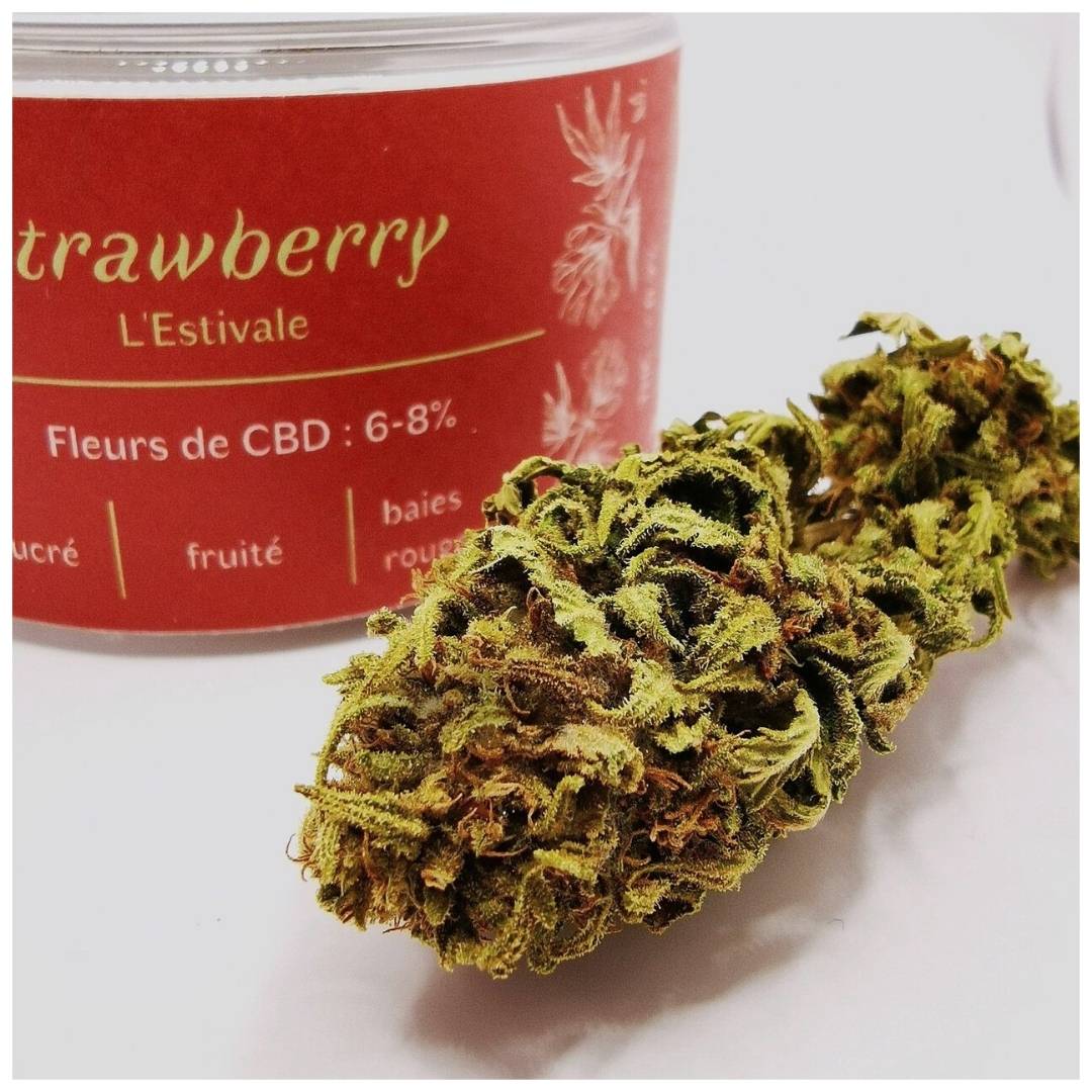 fleur-cbd-bio-strawberry-des-plantes-de-tomine