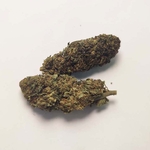 grossiste-deux-fleurs-cbd-tangerine