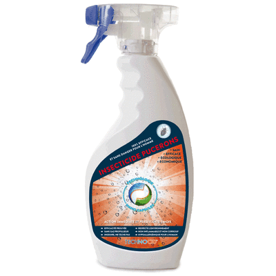Traitement insecticide Anti pucerons