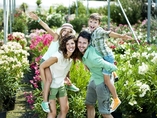 insecticide jardin