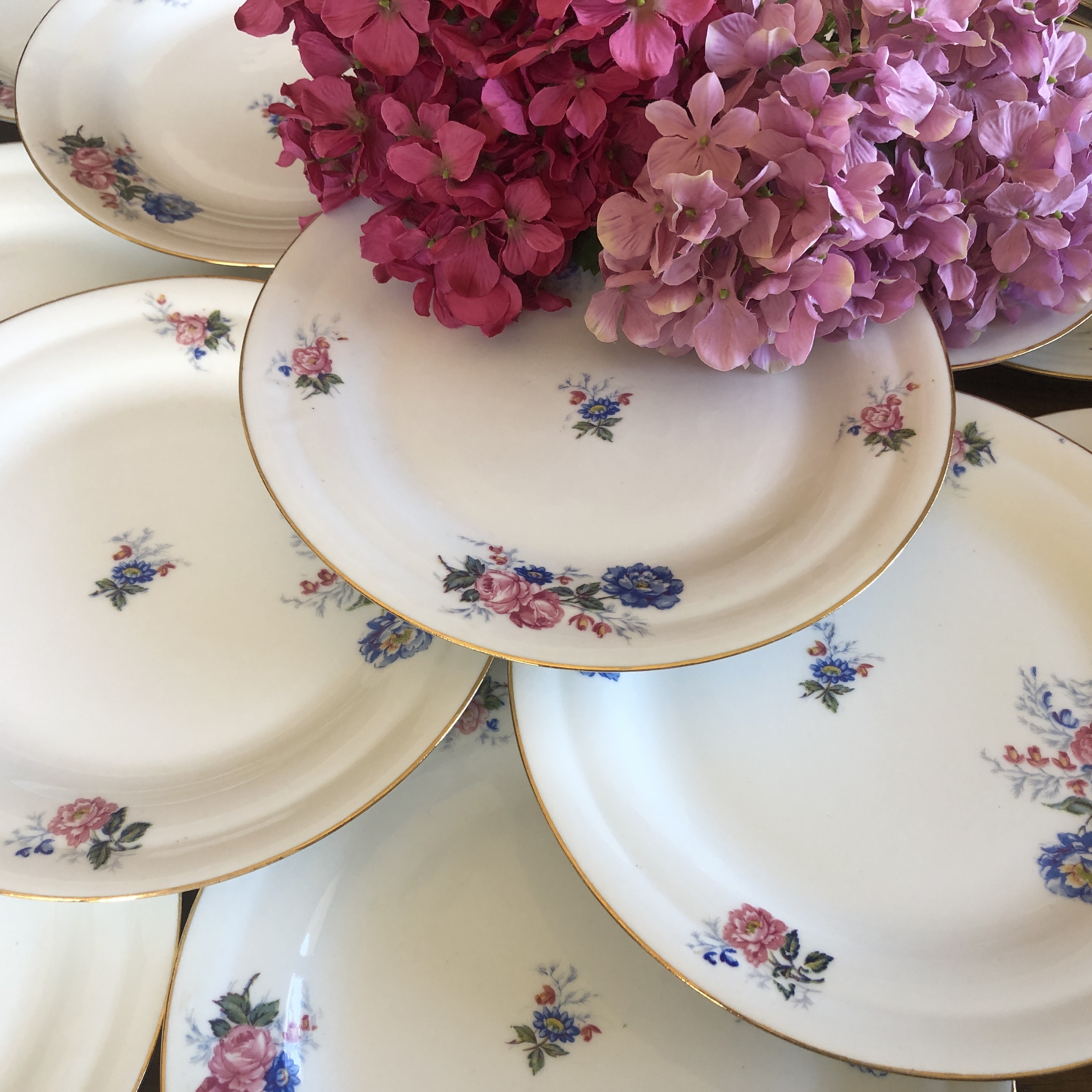 22 Assiettes plates décor fleurs roses et bleues porcelaine