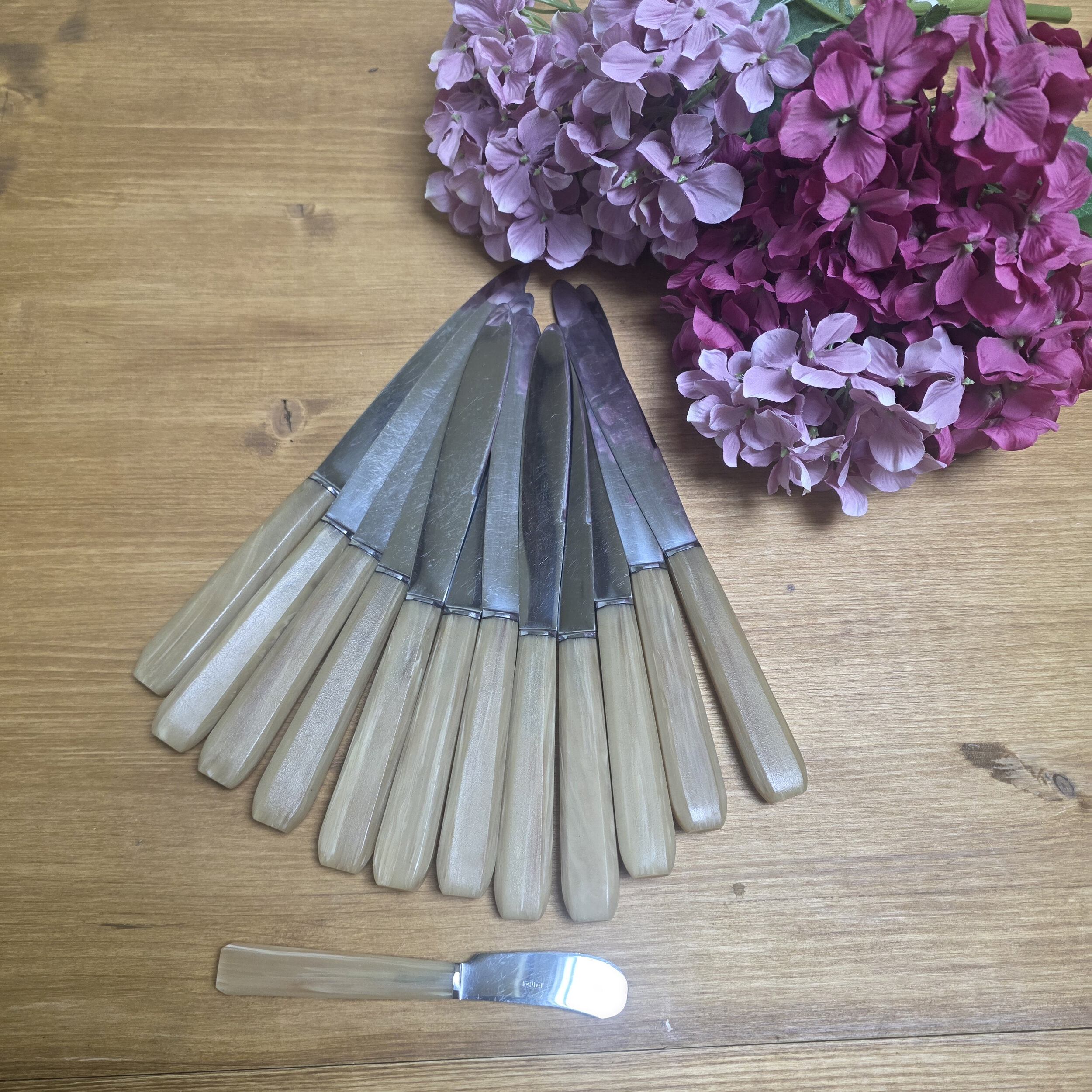 12 couteaux vintage en boîte + 1 couteau à beurre