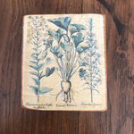 chineuse de merveilles herbier vaisselles anciennes vintage brocante IMG_3199