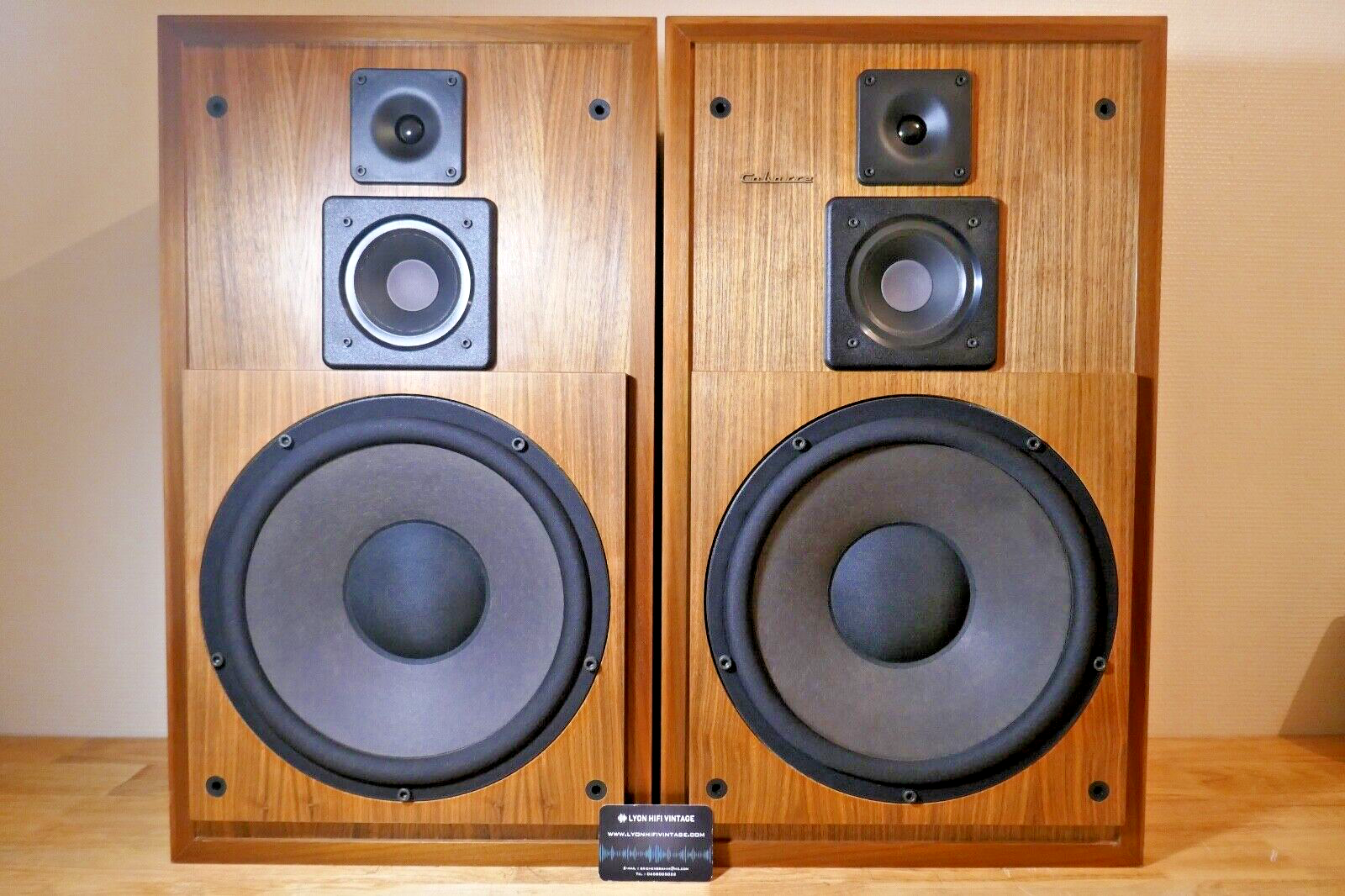 enceintes speakers cabasse sampan 303 M2 vintage occasion