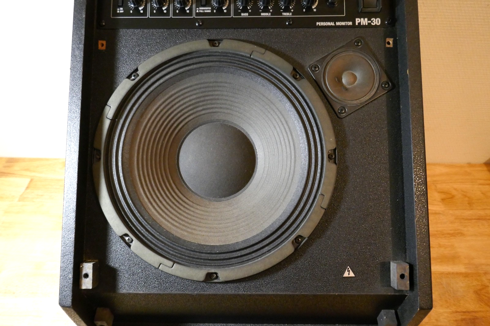 enceintes speakers Roland pm-30 occasion