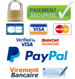 LOGO PAIEMENT2