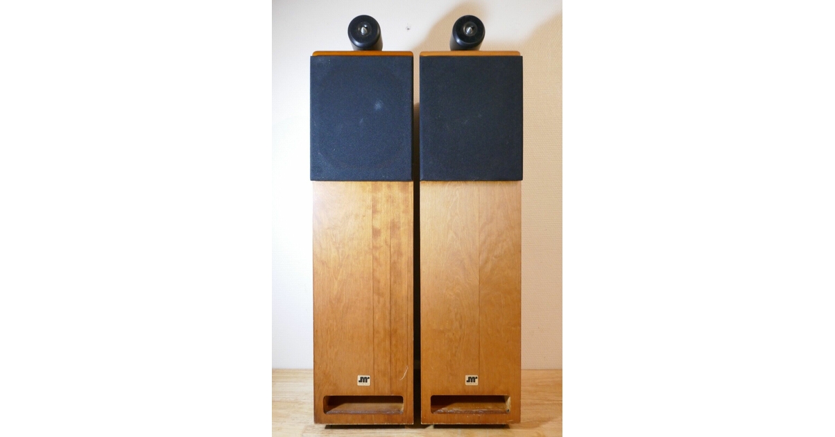Haut parleur 21cm dans enceintes et caissons de basses