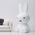 lampe-miffy-icon