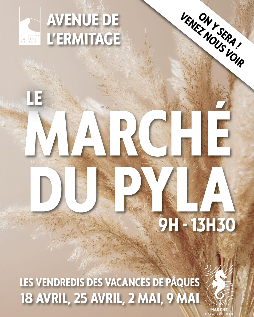 visuel commercant marche du pyla