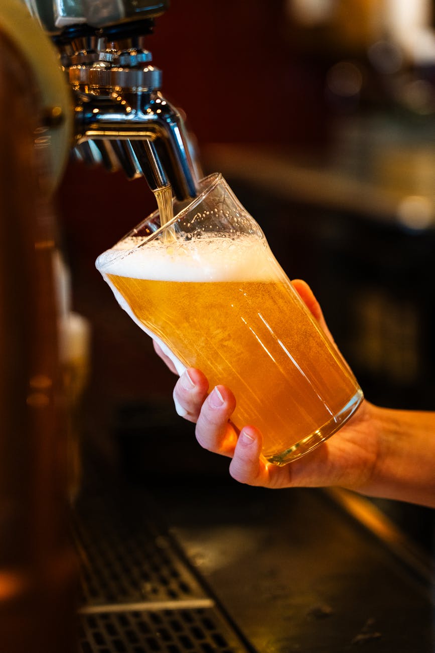 photos gratuites de alcool amateur de biere amerique du nord
