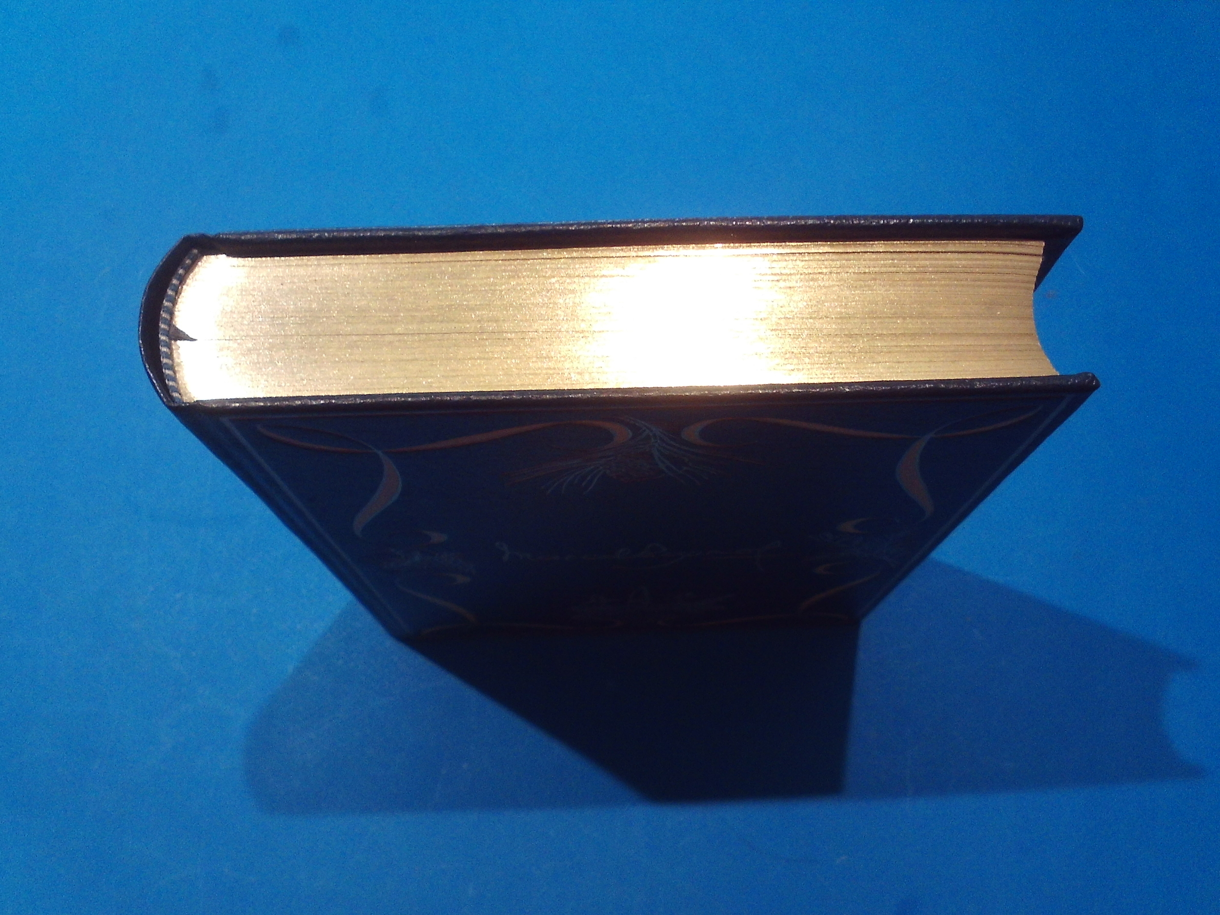 SUNP0022