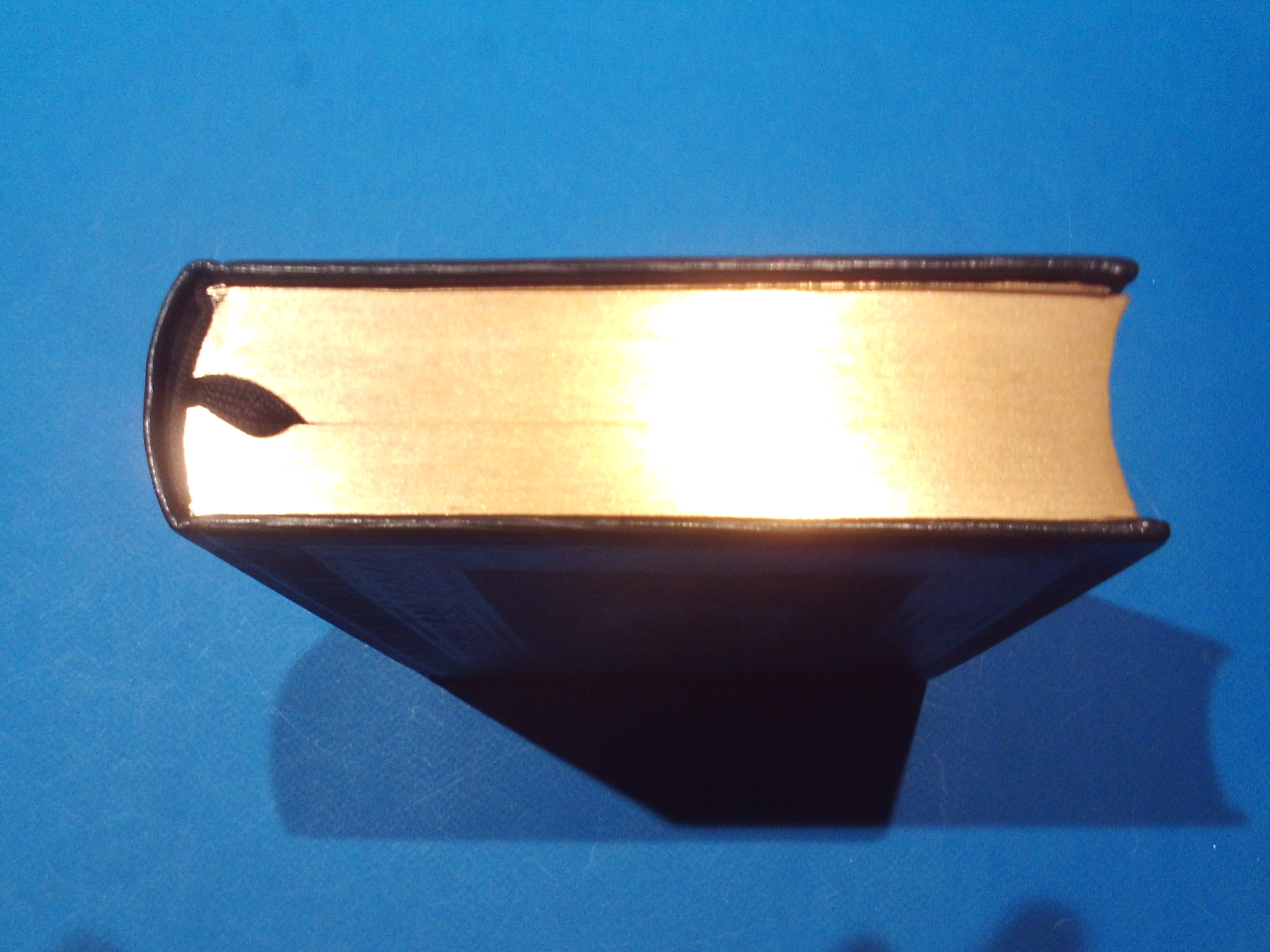 SUNP0138