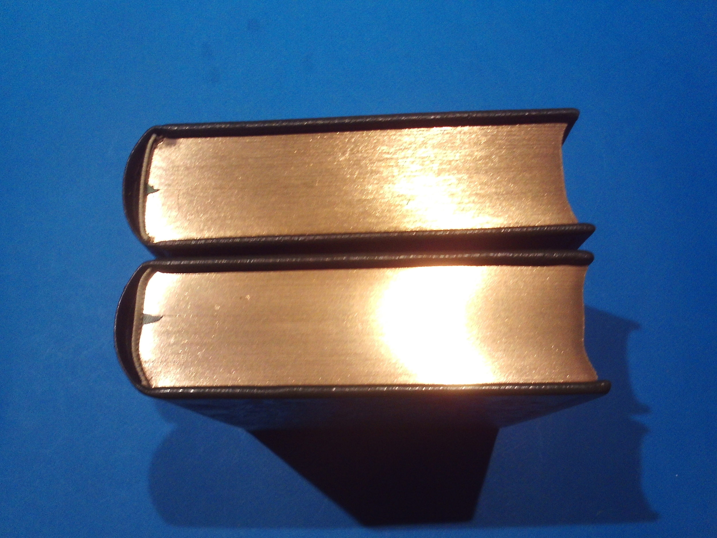 SUNP0153